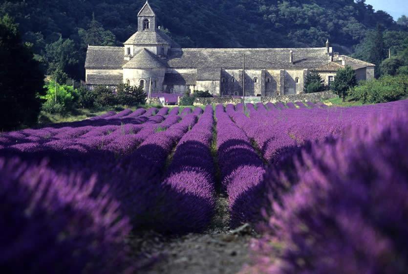 Gite Hanna En Luberon - Le Boisset De St Martin De Castillon Saint-Martin-de-Castillon Eksteriør billede
