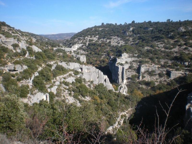 Gite Hanna En Luberon - Le Boisset De St Martin De Castillon Saint-Martin-de-Castillon Eksteriør billede